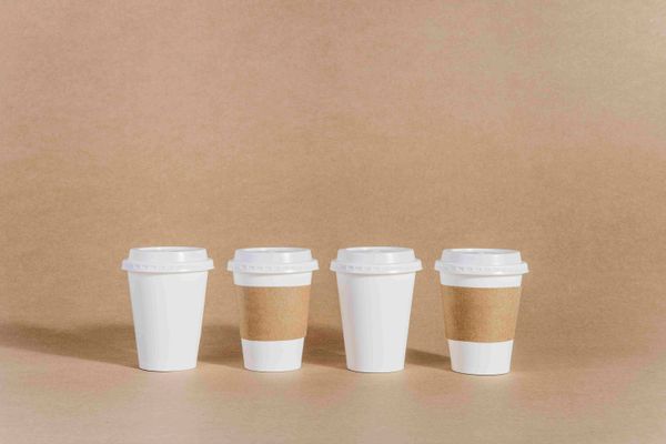 https://www.tuobopackaging.com/disposable-coffee-cups-custom/